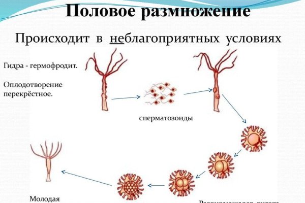 Kraken зайти на сайт